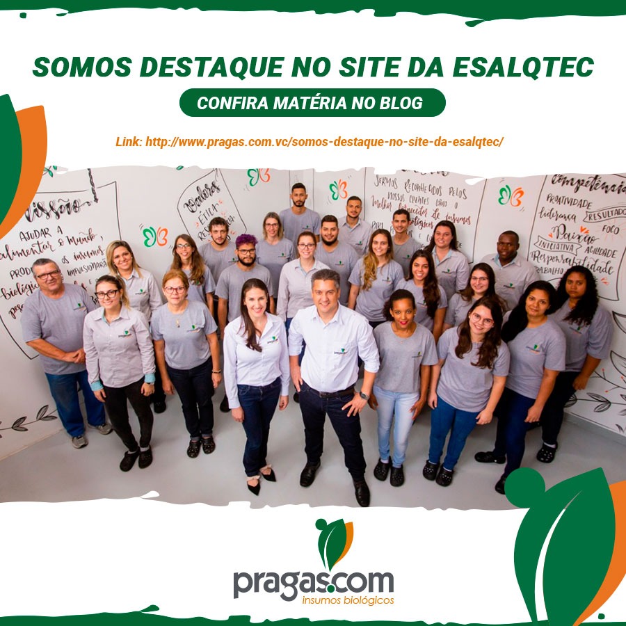 ➡Fomos destacados no site da <a href="/esalqtec/">ESALQTec</a> e você pode conferir no nosso blog. 
📲Acesse: pragas.com.vc/somos-destaque…

#agro #agricultura #pragasagricolas #controlebiologico #oagronaopara #controledepragas