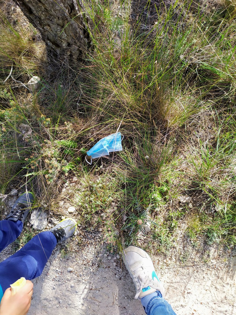 sonia_vitamina's tweet photo. Y esto es lo que nos vamos a encontrar en las calles y parajes de @YeclaCapital en la 'nueva normalidad'?? A l@s cerd@s les decimos #QuedateEnCasa https://t.co/asWRx4daAQ
