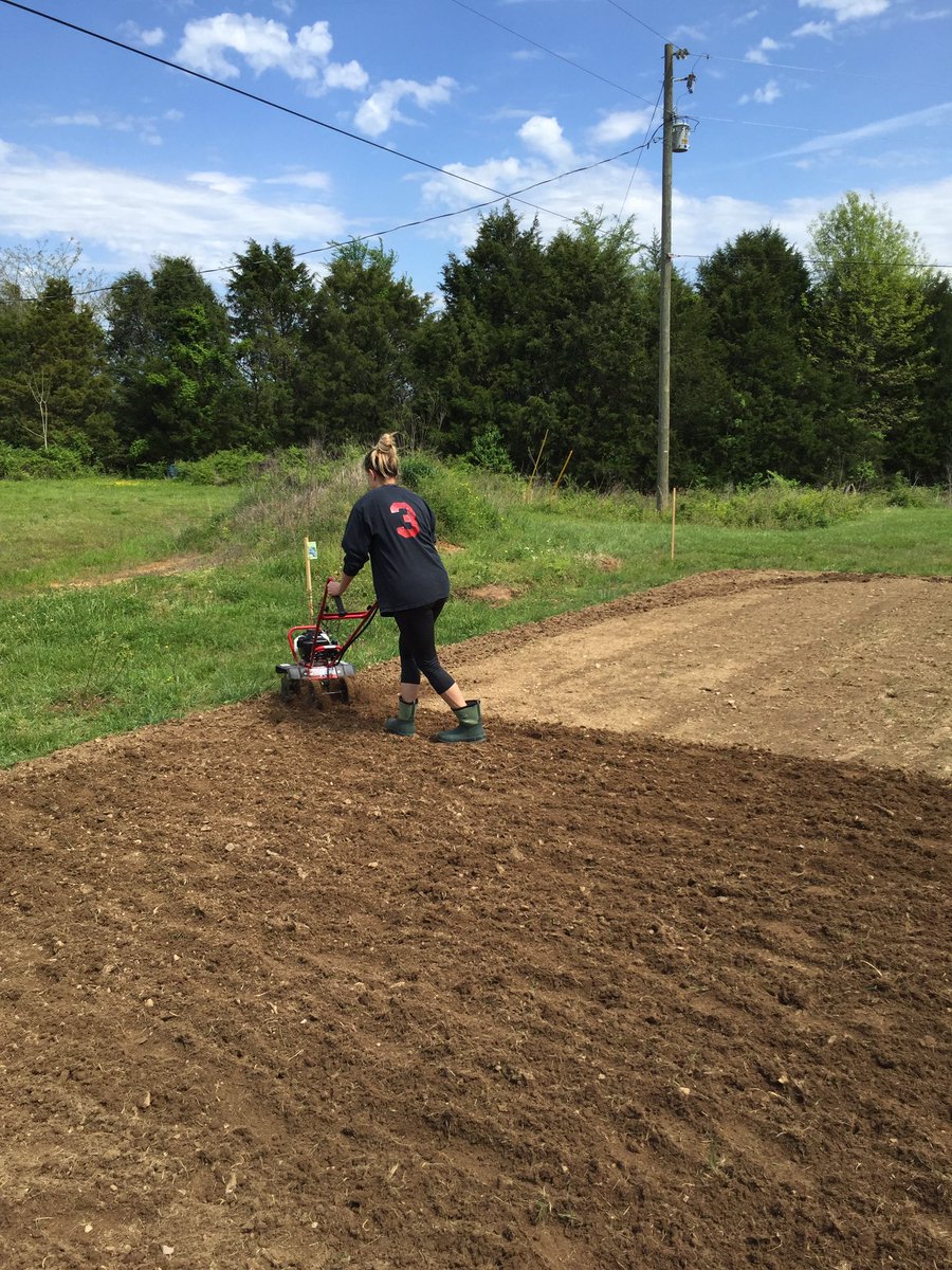cms_studco's tweet photo. Mrs. Lane has been busy growing rainbows and working in the garden.#CentralCreates #CMSShowYourStripes https://t.co/58vcRD9F8S