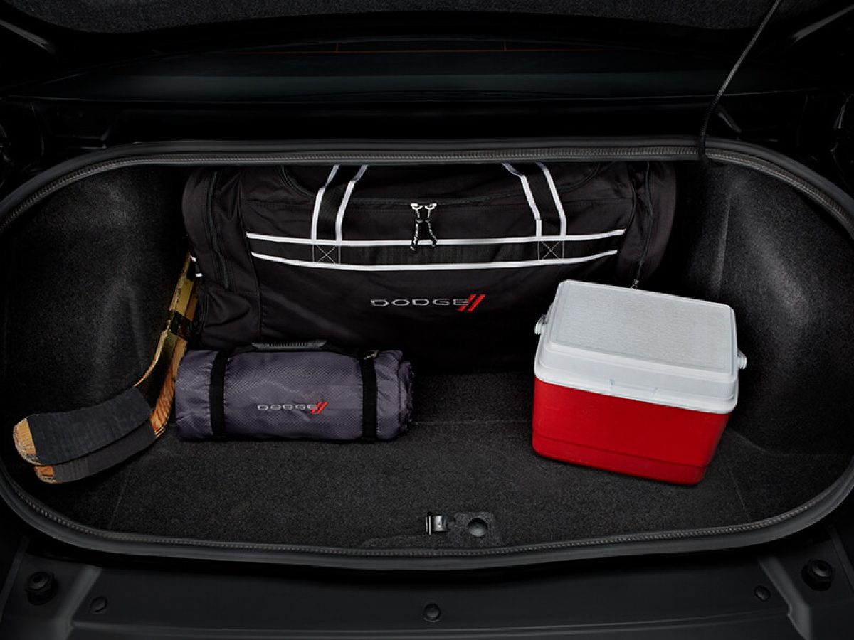 SimiValleyCDJR's tweet image. Did you know? The Dodge Challenger is equipped with best-in-class cargo space, making it easier than ever to pack-up and hit the road.

Learn more about the 2020 Dodge Challenger: bit.ly/2SBQNQx

#SimiValleyCDJR #Dodge #Challenger #DodgeChallenger