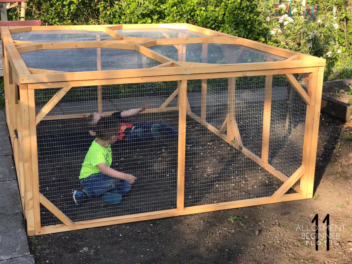 AllotmentPlot11's tweet image. My new child containment unit has been installed in at the Allotment! Now I’ll get some stuff done! 😁

#Allotment #Allotmentlife #FamilyPlot #love #gyo #greenhouse #shed #pottingshed #Plot11 #AllotmentBeginner