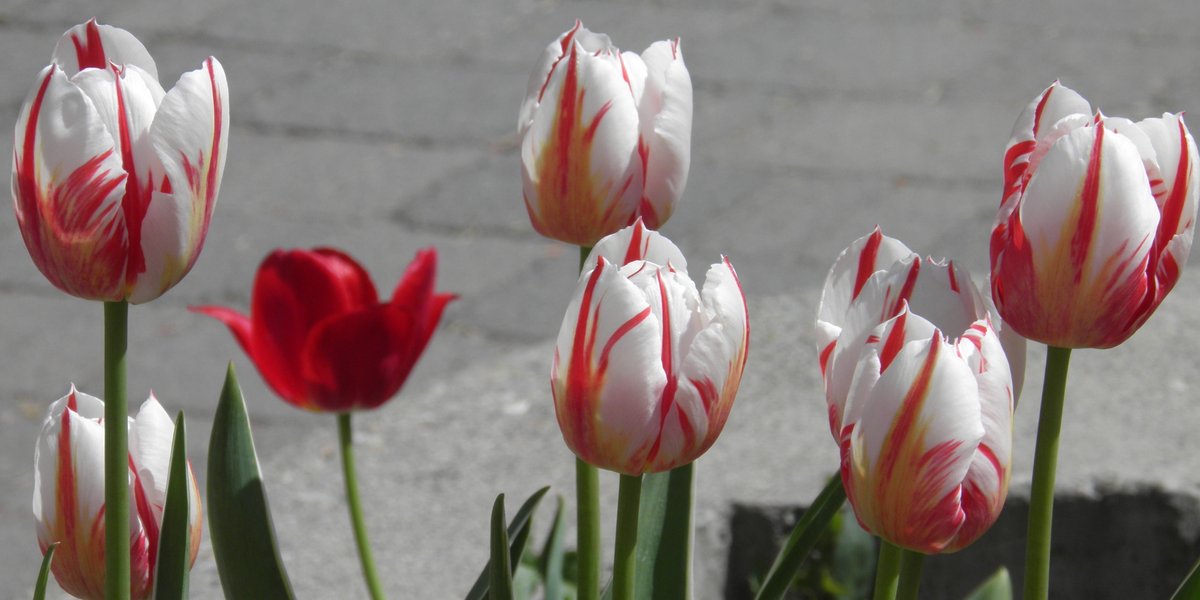 helga3's tweet image. senseless_beauty