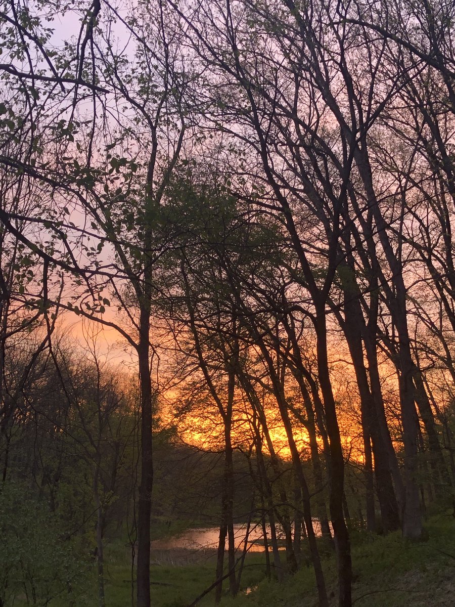 mrbradyshutt's tweet photo. Dear Xander, Sweat Pea, Sasha, Big Henry, and Pearl,
As much as it hurts to admit, you were right. I guess we will see you bright and early again tomorrow morning.
-Grace & Magic
P.S. This does not mean youβre better than us #Loyal #Obedient #Slobbery (Not sure on the last one) https://t.co/tgBBdt6eHA