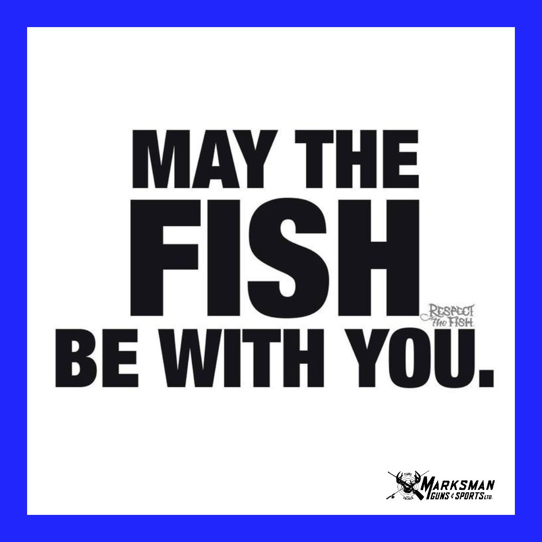MarksmanGuns's tweet photo. May the Fish be with you. #MarksmanGuns #Yql #ShopLocal https://t.co/O3h9bMQUR6