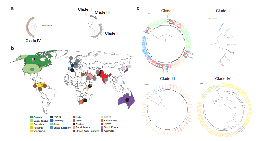 ASMicrobiology's tweet photo. Examining the genomes of Candida auris isolates from 19 countries gives insight into the expansion of each C. auris clade and of fluconazole resistance. @mBiojournal https://t.co/U8kVPpOHzg https://t.co/fZDeEGLpWM