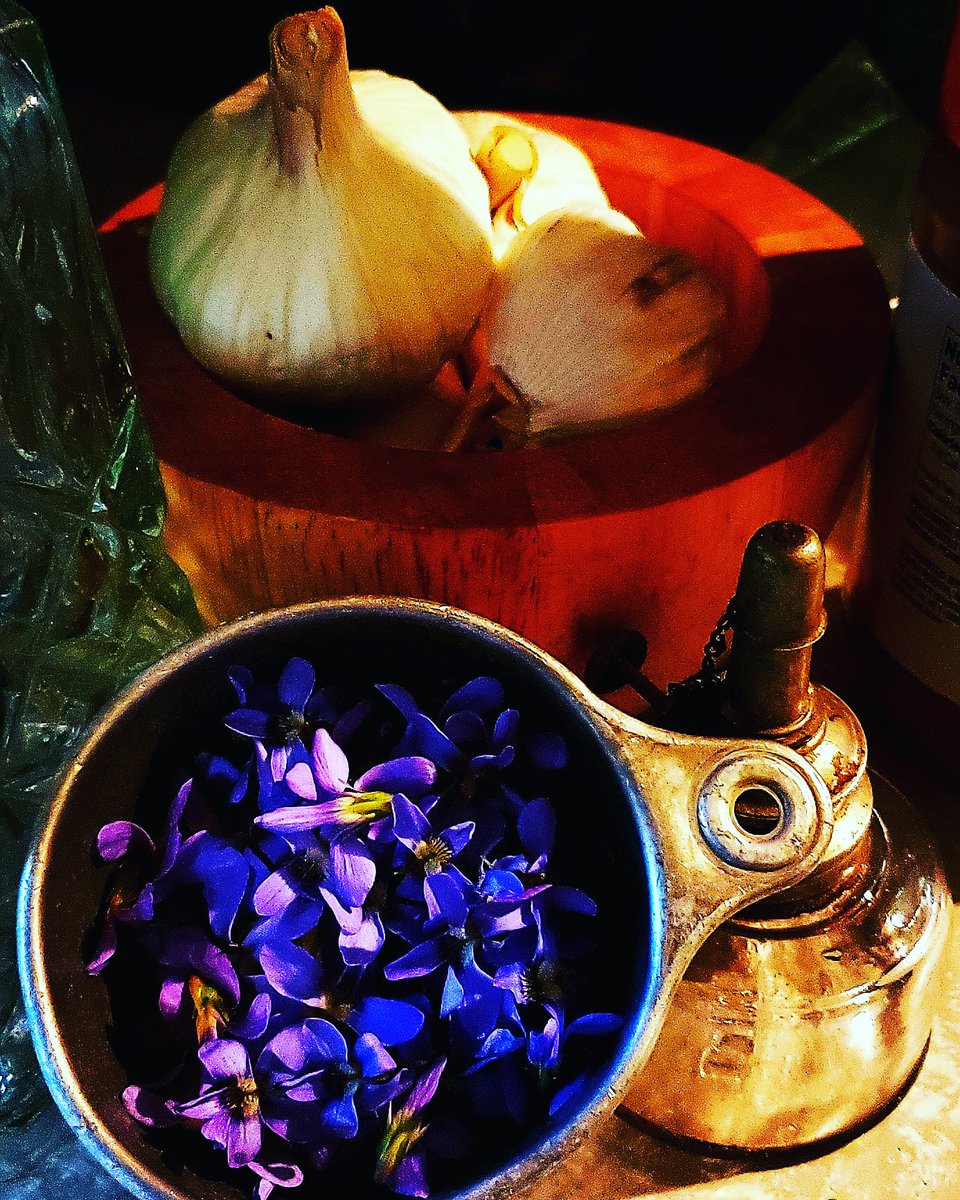 SlightlyTarnis2's tweet photo. What I did for #MayDay2020 I crawled around on my hands and knees soon to become #violetjelly #violet #flowers #nature #ilovespring #spring #springtime #magic https://t.co/qr4Lot48Ga