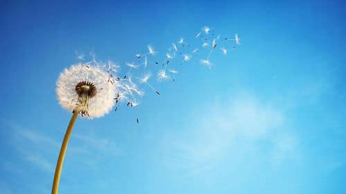 EducaciónResponsable tweet media