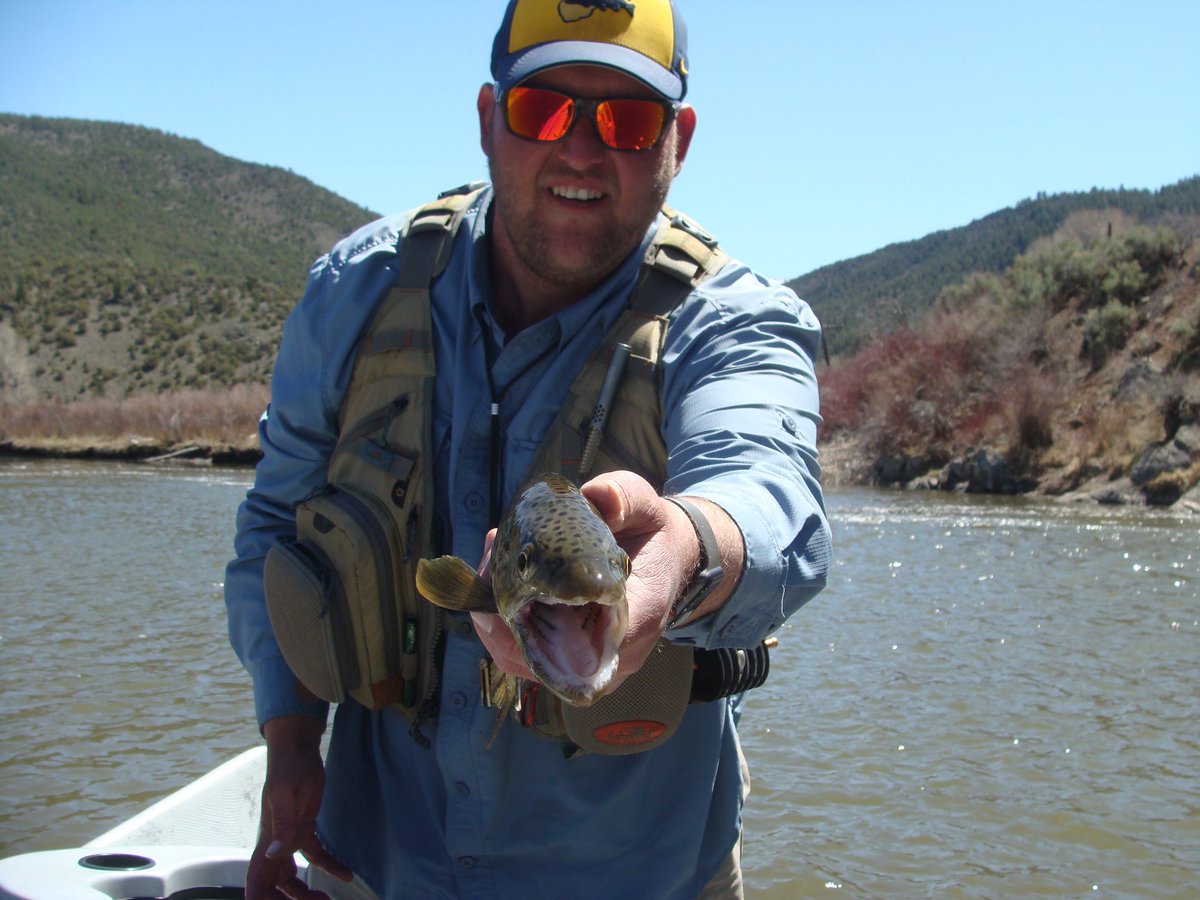 AlmostHeavenAdv's tweet photo. The time has come...
With strict social distancing and sanitization practices we are happy to announce that we are again offering fishing trips starting Monday May 11, 2020!
Contact us for additional information. https://t.co/LWeEs148kf