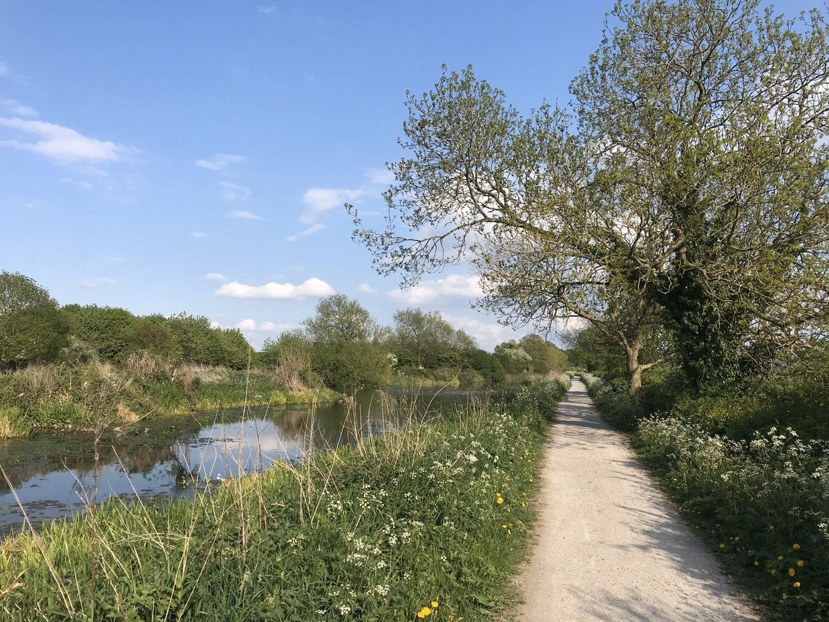 MrsReedGeo's tweet photo. #linescapes 💙🌿☀️@GranthamCanal https://t.co/QB2jsL8Dg9