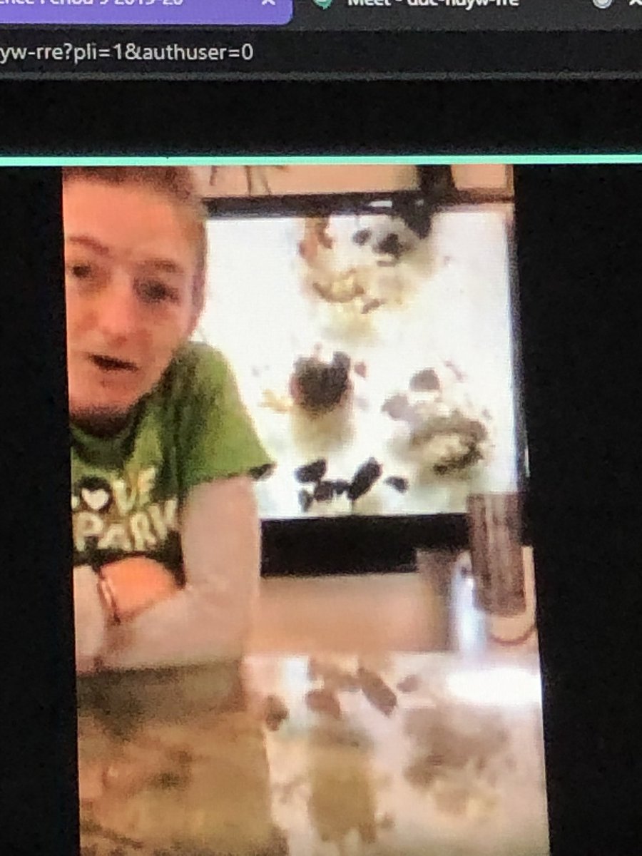 HardtRosellen's tweet photo. Research scientist Chelsea Moore of the DEC chats with WJH students about stream macroinvertebrates. @WJHSSpirit @WJHS75 @ABPanzer @WCSDEmpowers @wjhsmainoffice @ASchout10 @ https://t.co/MH4BEKnZgX