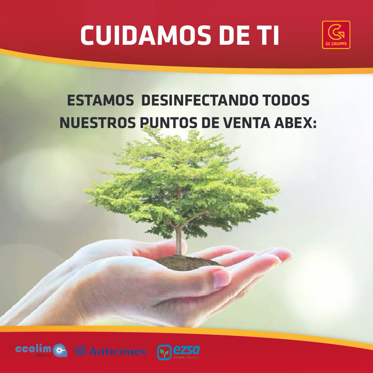 GC Gruppe España tweet media