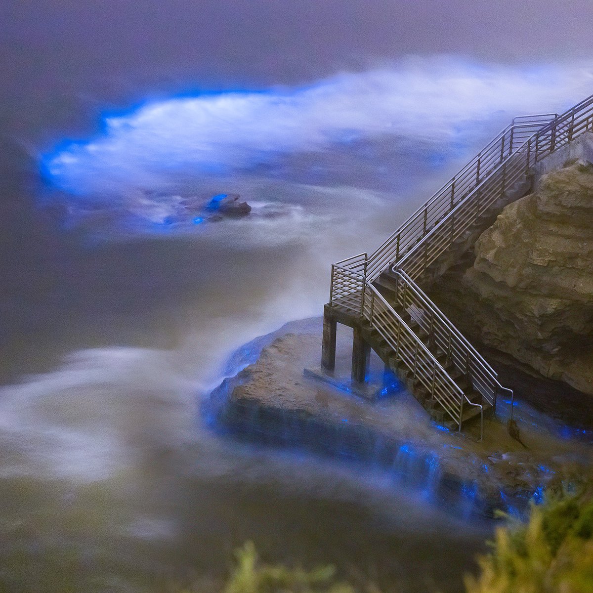 The coast in #SanDiego is looking quite magical with the electric blue #bioluminescent show.