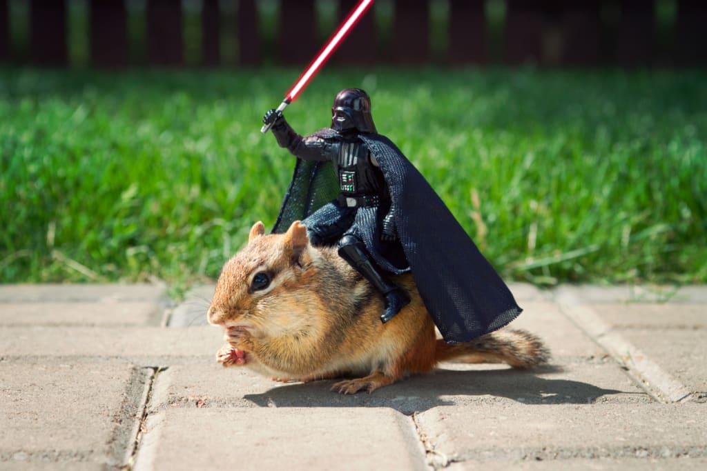 DisplayStar's tweet image. #TheThingAboutStarWars is that sometimes you have to start squirreling around before you can stop squirreling around.

#MayThe4thBeWithYou
