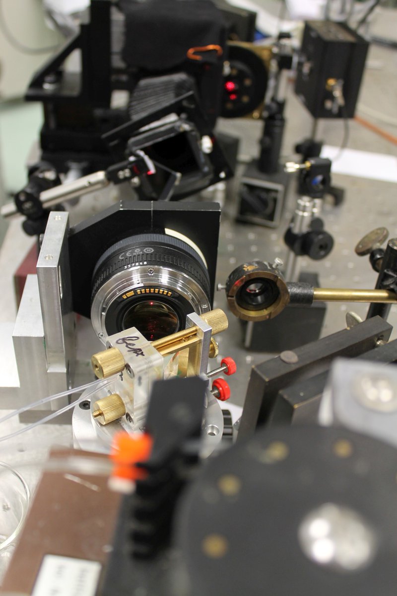 sfb876's tweet photo. Collaborative Research Centre 876 of TU Dortmund and the Leibniz Institute for Analytical Sciences (ISAS) intend to apply the PAMONO sensor to #SARSCoV2. https://t.co/CUTYCZUur3
#SFB876 #DFG #PAMONO #COVIDー19 #coronavirus #SARSCoV2 https://t.co/JyGcl3ehTc