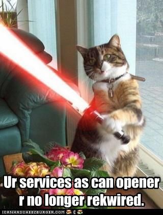 TheMeowPlace's tweet photo. Happy #MayThe4th everyone! https://t.co/1CiR3ccjFY