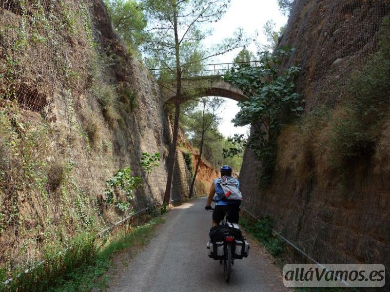 Nao Casanova tweet media