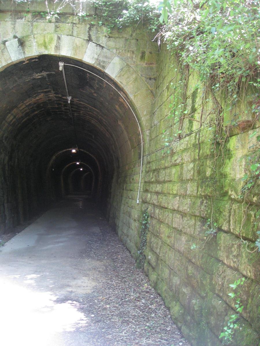 Nao Casanova tweet media