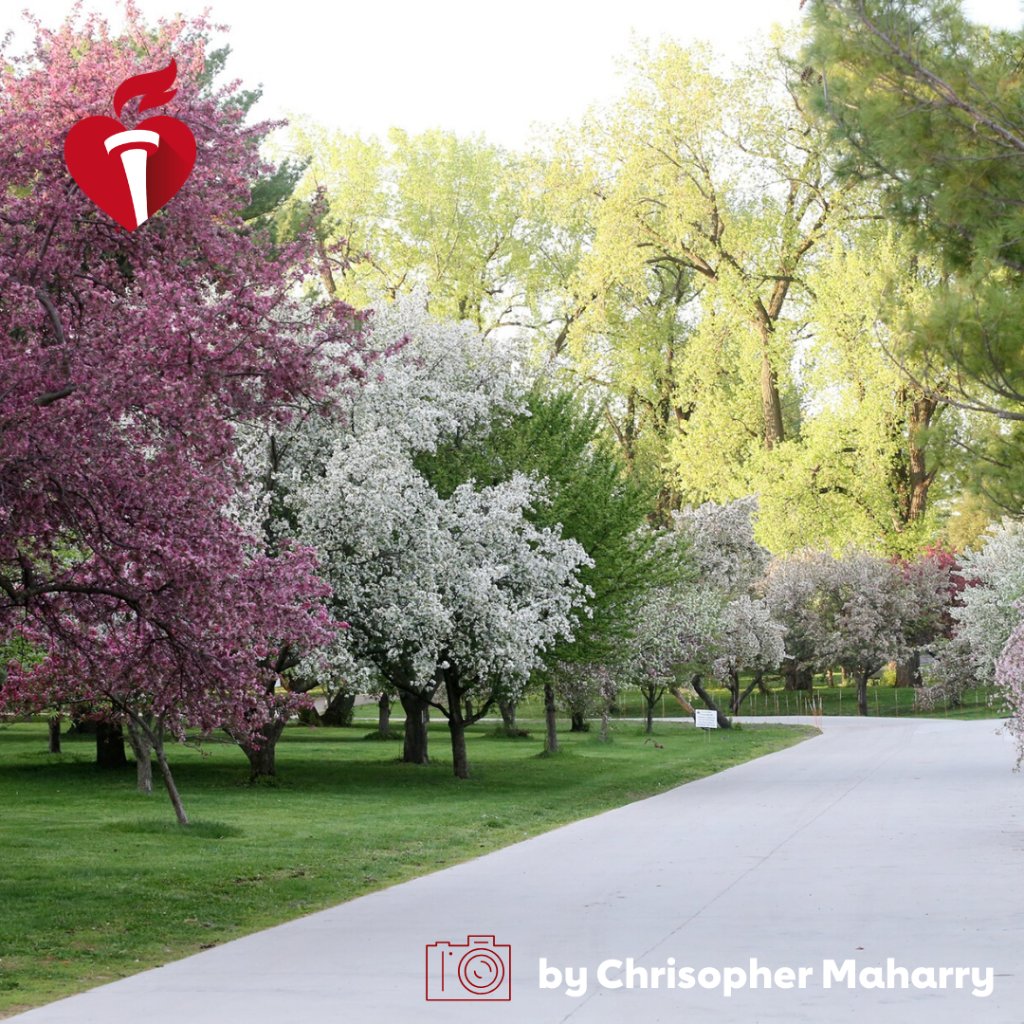 AHAIowa's tweet photo. Share a picture of what makes your heart happy in honor of #NationalPhotographyMonth. Tag us and use #AHAIowa 
Location: Water Works Park, Des Moines, Iowa https://t.co/1DC27H68nw