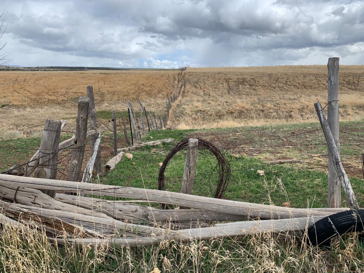 I hope you'll find a moment to ck out my newsletter! #travelmemoir, #armchairtravel, #ATouroftheHeart, #resilience, #rebirthandrenewal, #COVIDstories, #inspirationalstories, #travelstories, #cancerjourney, #telluride, #colorado, #uchealthdenver conta.cc/2y6uLi3