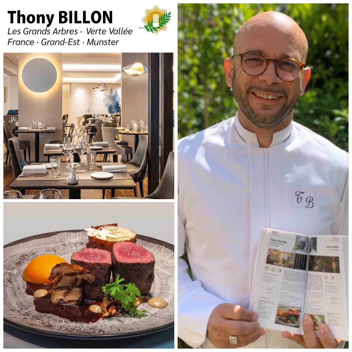 Maîtres Cuisiniers de France tweet media