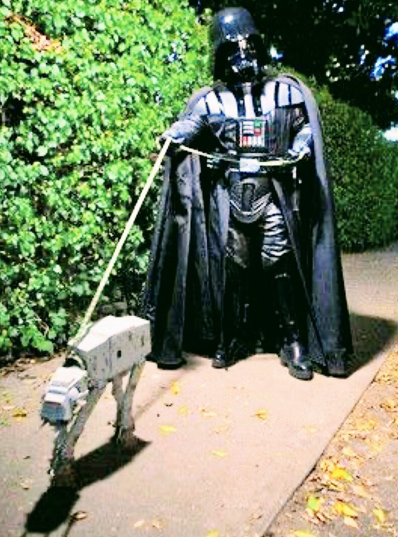 BethAschbacher's tweet photo. @Forest_WCSD  May the fourth be with you and your pets. https://t.co/aba89dGOgu