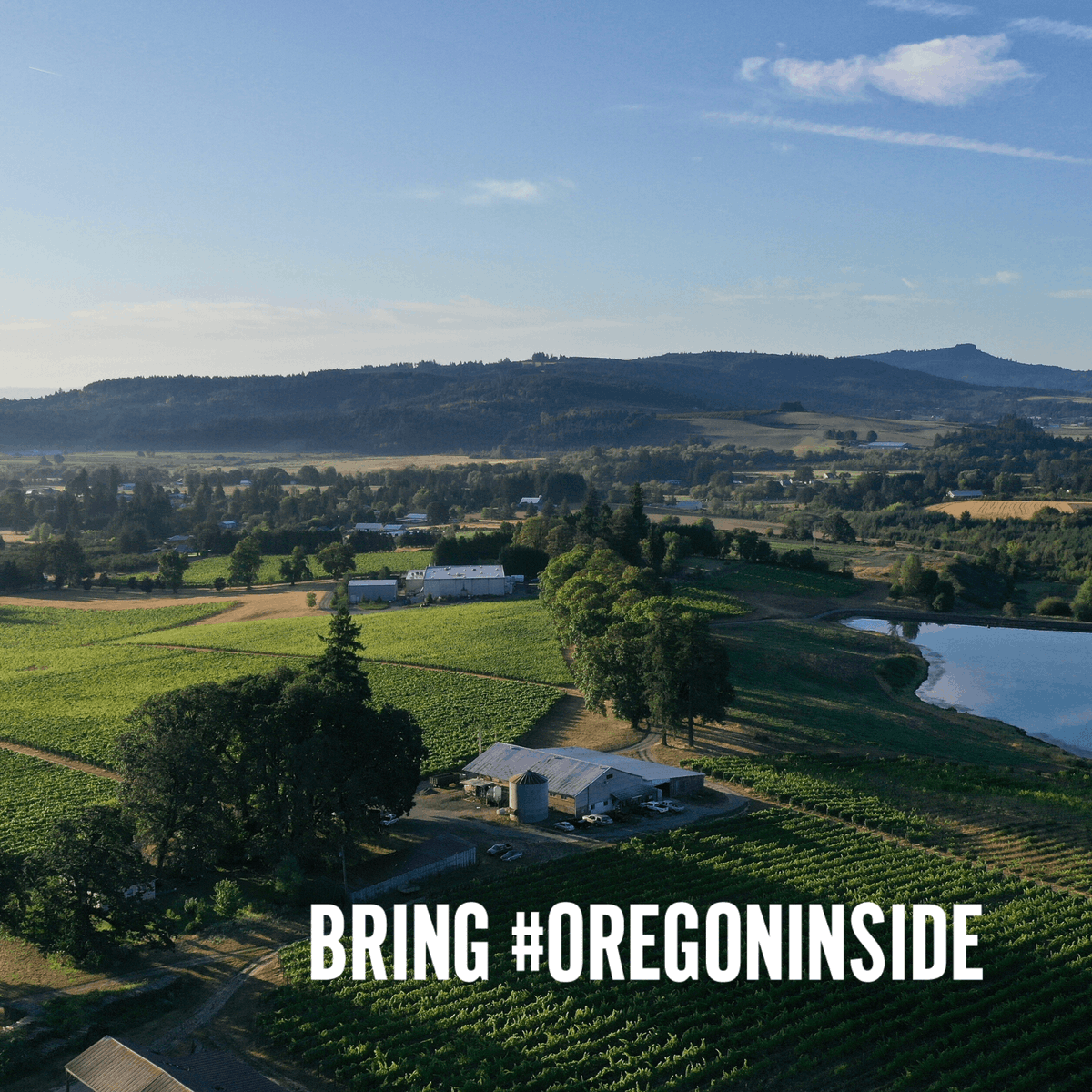 Montinore Estate tweet media