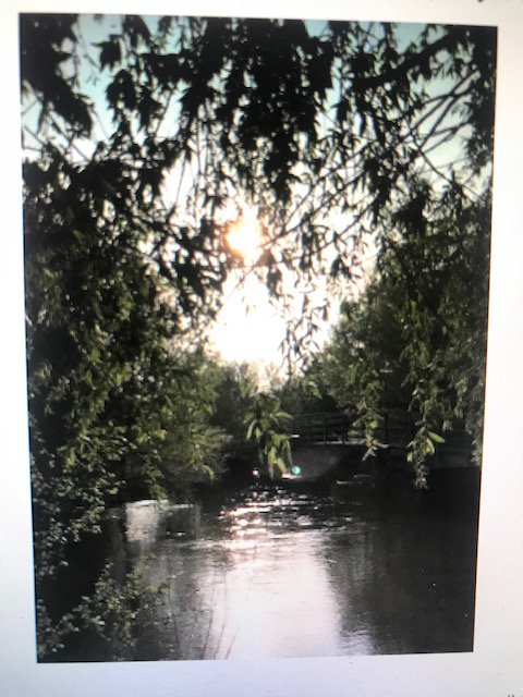 SarumCollege's tweet photo. God's love for us is what matters supremely, and that is the last word, not all the dreariness and despondency that easily get on top of us. #frailty #beloved #loved
today's #pauseforreflection by @R_C_Woodward @SarumCollege 
https://t.co/yMY4yJGMJX https://t.co/HkM3ylTLOy