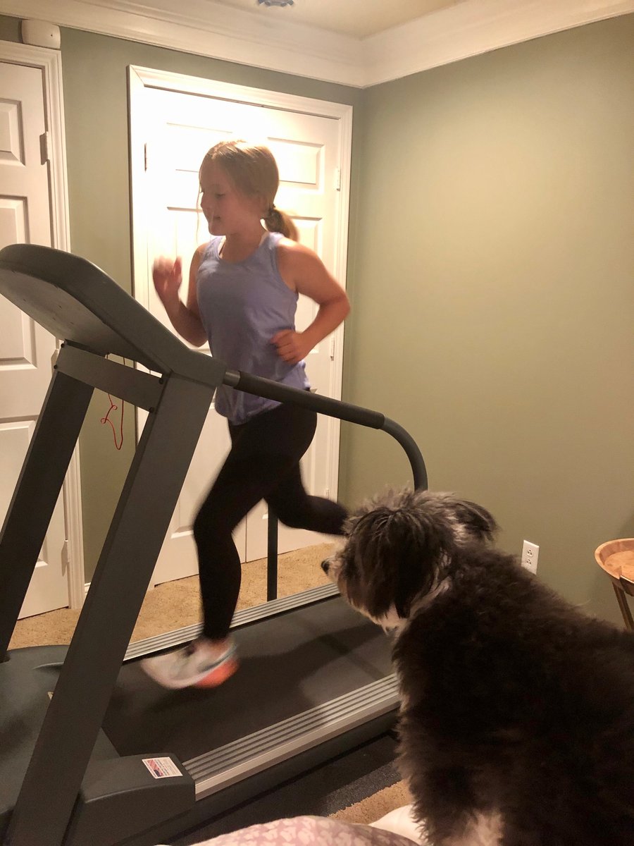 KCSGTraining's tweet photo. 07 Emily rainy day conditioning with an audience 🐶! https://t.co/ILv65MikWt