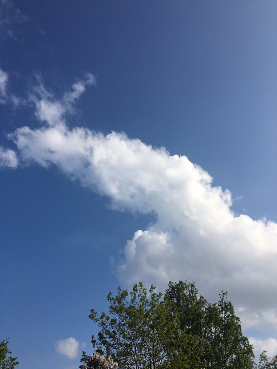 herdwick_gal's tweet photo. Day 4 #gyowwalk 31 day challenge by @ApparelGyow Wildlife on today’s walk, best I could do today #NationalWalkingMonth
Need to venture further afield, of course within walking distance of home #RestrictedMovementOrder https://t.co/xE8Pna2Ri3
