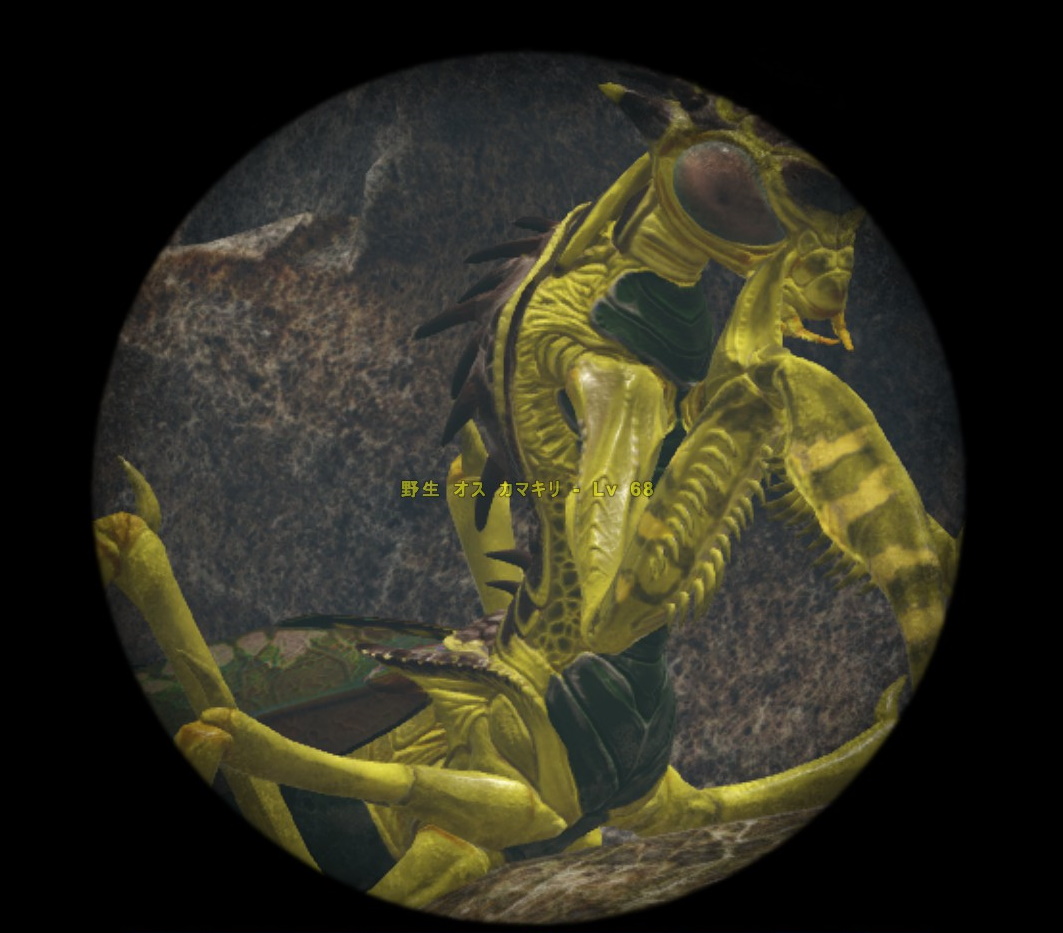 とわこ カマキリの高品質サドルが出たので捕まえに行こうという話になる なんかすごい派手な色の奴がいた