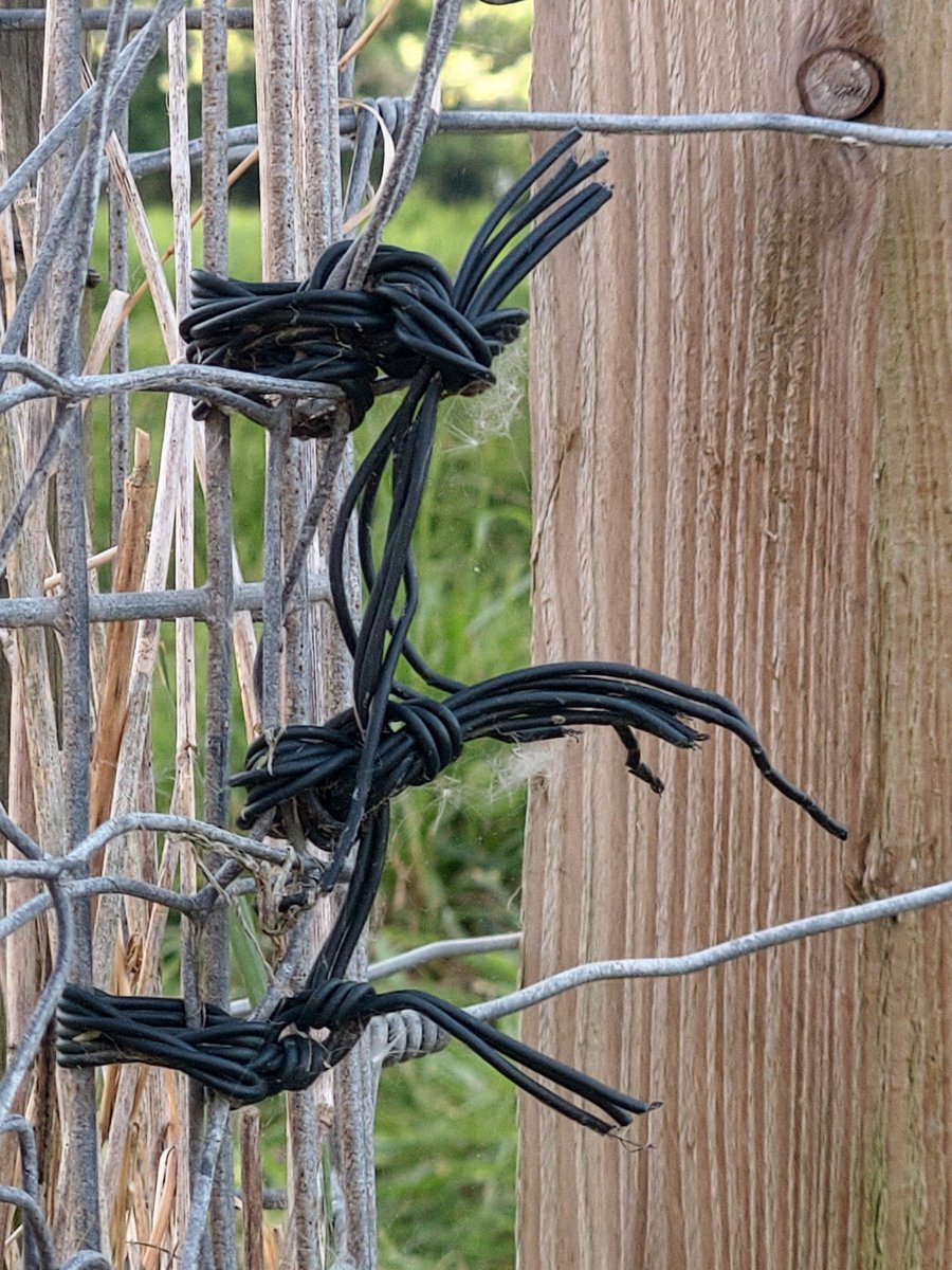 DavidSmithArt's tweet photo. Something I saw today
#SomethingISawToday an occasional random, digital sketchbook of things that might inform my work!  #Dorset #Bridport #AccidentalAbstract #minimalist #wires #grid #lines #black #fence #tied #secure https://t.co/uv31kJg8O9