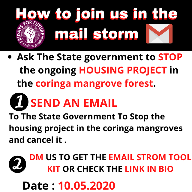 FFF_Andhra's tweet photo. On this Sunday 10.05.2020 we are planning for a #mailstorm on the ongoing deforestation in #coringamangroveforest by the @AndhraPradeshCM . Please join us and support us DM for the mail bank and more details .
#SaveCoringa #savecoringamangroves #savecoringasavekakinada https://t.co/s16AoqYi74