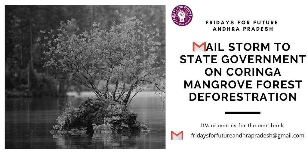 FFF_Andhra's tweet photo. On this Sunday 10.05.2020 we are planning for a #mailstorm on the ongoing deforestation in #coringamangroveforest by the @AndhraPradeshCM . Please join us and support us DM for the mail bank and more details .
#SaveCoringa #savecoringamangroves #savecoringasavekakinada https://t.co/s16AoqYi74