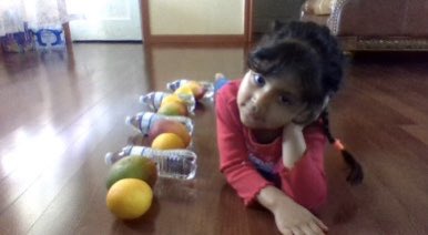 PatriciaRamon15's tweet photo. Hands on learning at home.  🧡🧸🧡🧸 #creatingpatterns #distancelearning #mathskills #preklearning @JOSECARDENASECC @C_Barrios79 @EISDofSA https://t.co/OmWwTipdiZ