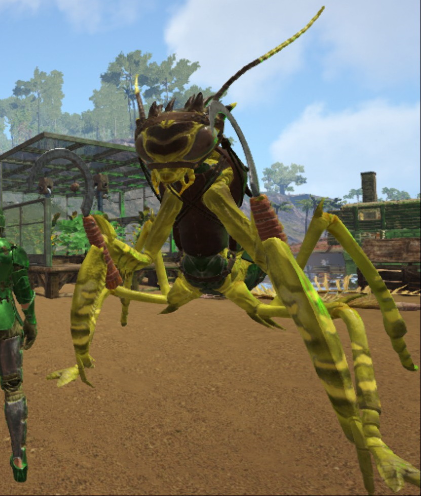 とわこ 何とかテイミングできた カマキリは手に装備ができる なぜか二刀流になる 刀を持てば攻撃力アップだし 採取道具は採取できるようになる 3枚目はカマキリがカマを持つ図 個人的にピッケルで藁が沢山取れるのめちゃ便利 どうでもいいけどなんか