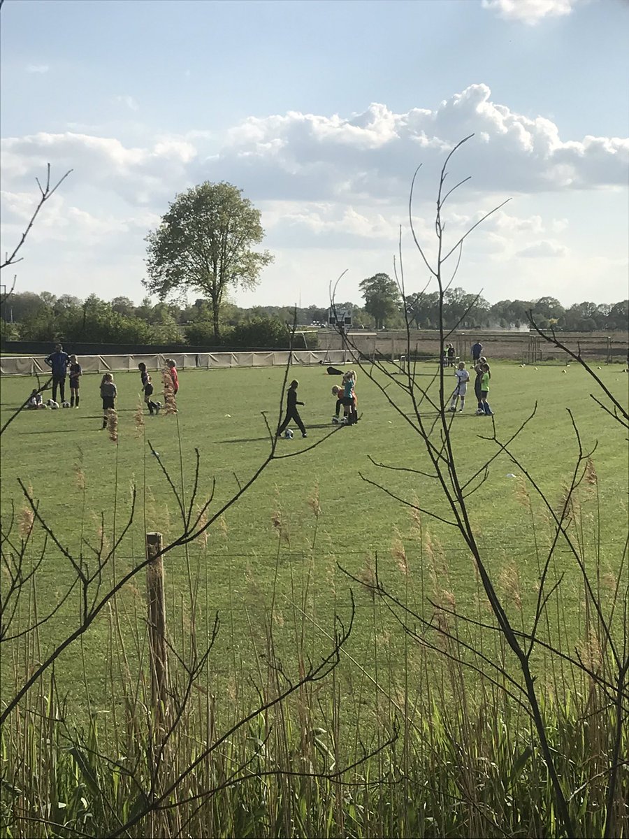 PatBleum's tweet photo. Mooi om ze weer te zien trainen in de #dijkhoek @vvdeo #samentrainenopafstand https://t.co/CGklbYgfN6