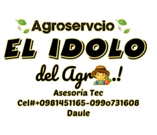 Centro Agricola Cantonal de Daule (@centro_daule) on Twitter photo 