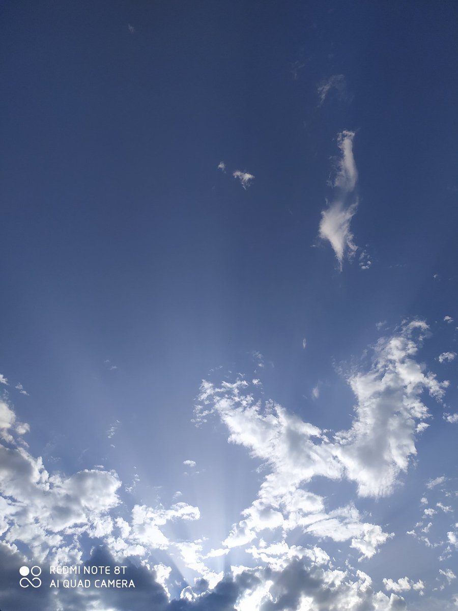 Bona tarda!!! Des de #peixTinet Recordem als nostres clients que seguim oferint Servei a domicili 🚛del nostre producte fresc sense cost addicional! Ens pots trobar al #mercatcentraldetarragona O ens pots trucar:
☎️977235801
✍️ WhatsApp 616762669