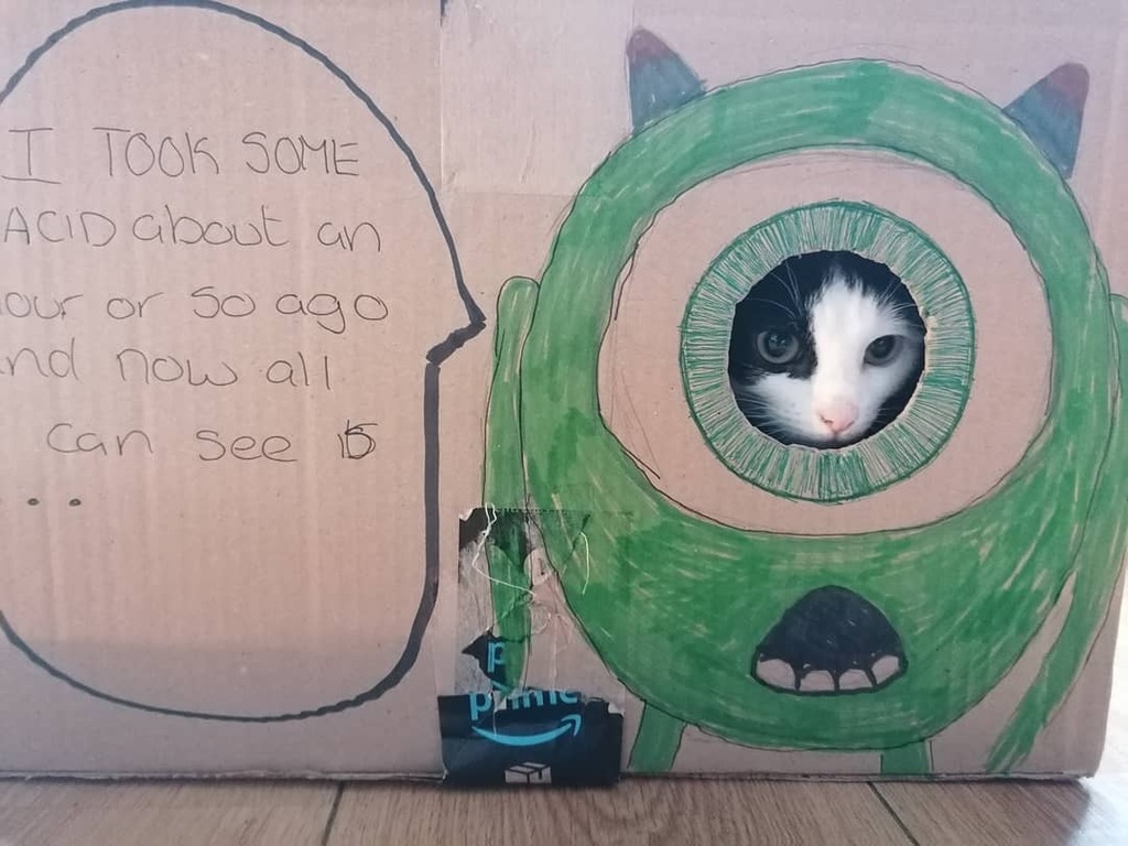 PawsMellow's tweet photo. Cat in a box
https://t.co/TaQXmYtlQt
https://t.co/9LgYxSHudP
#lovecats #katze #petstagram #ilovemycat #cutecats #petsofinstagram #kittensofinstagram #kittycat #catsagram #instacats #catloversclub #like #kitty #photography #photooftheday #gatto #catph… https://t.co/WG8wjwl8x4 https://t.co/bMc7Nusr5k