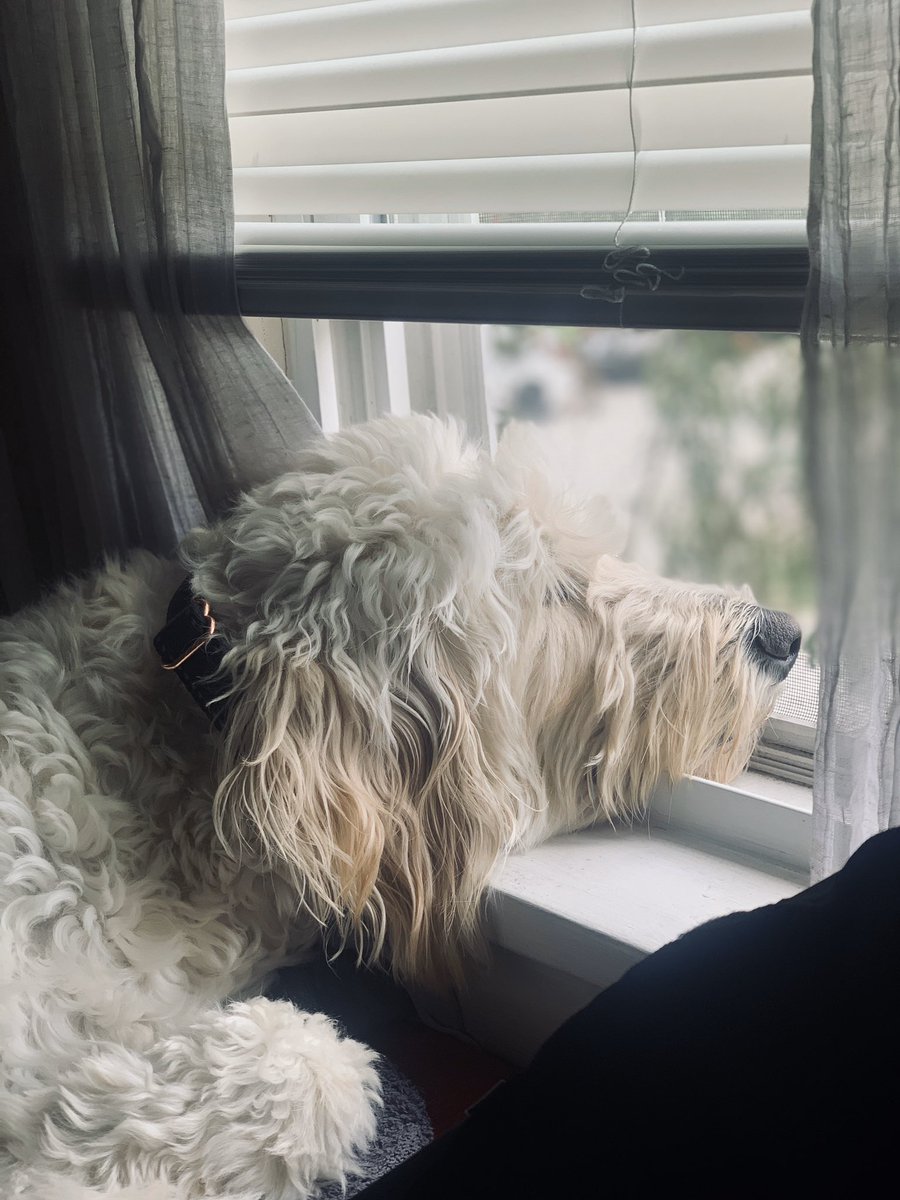 Maria Sugarmann tweet media