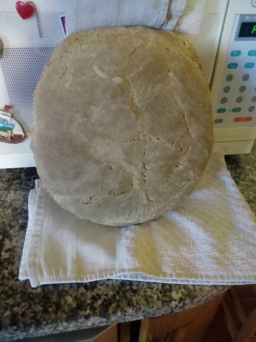 manuelbartoli2's tweet photo. FATTA IN CASA✌😍👏😘❤💗💘💋. #PANE https://t.co/vMxHudfSXk