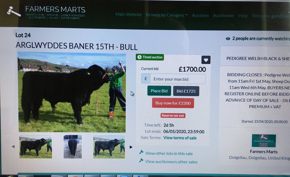 A selection of Pedigree Welsh Black Bulls available to buy online. 
Place a bid or buy it now!!  Log on to <a href="/farmersmarts123/">Farmers Marts</a> 
 farmersmarts.auctionmarts.com