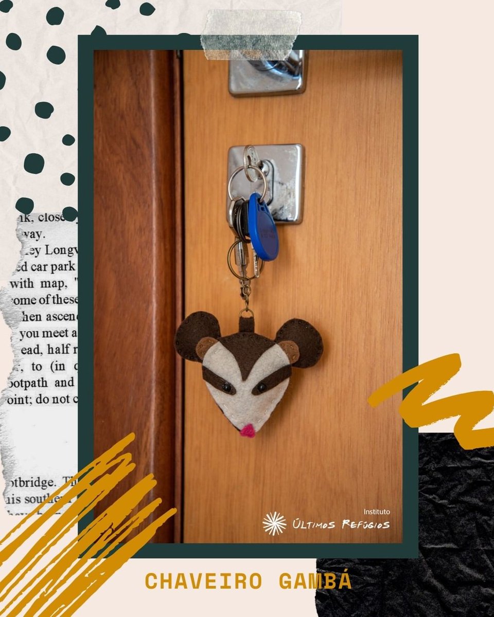projetomarsu's tweet photo. O Instituto Últimos Refúgios é uma organinção sem fins lucrativos e todos somos voluntários no Projeto. Ajude essa causa! Ajude os marsupiais!
#projetomarsupiais #ultimosrefugios #marsupial #gamba #opossum #cuica #didelphis #mamifero #conservação #preservação #doe #ajude #covid19 https://t.co/dty6CNHUeM