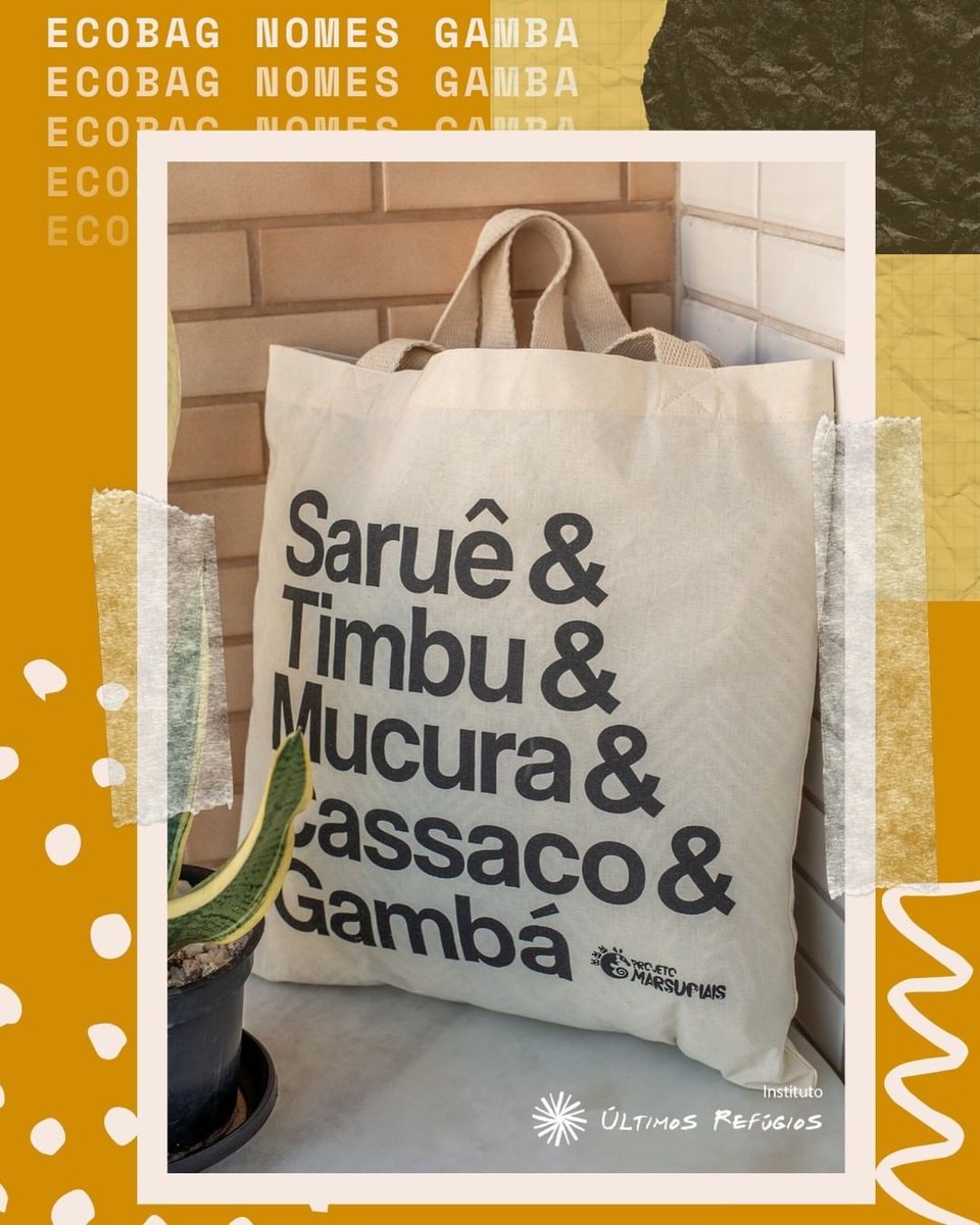 projetomarsu's tweet photo. O Instituto Últimos Refúgios é uma organinção sem fins lucrativos e todos somos voluntários no Projeto. Ajude essa causa! Ajude os marsupiais!
#projetomarsupiais #ultimosrefugios #marsupial #gamba #opossum #cuica #didelphis #mamifero #conservação #preservação #doe #ajude #covid19 https://t.co/dty6CNHUeM