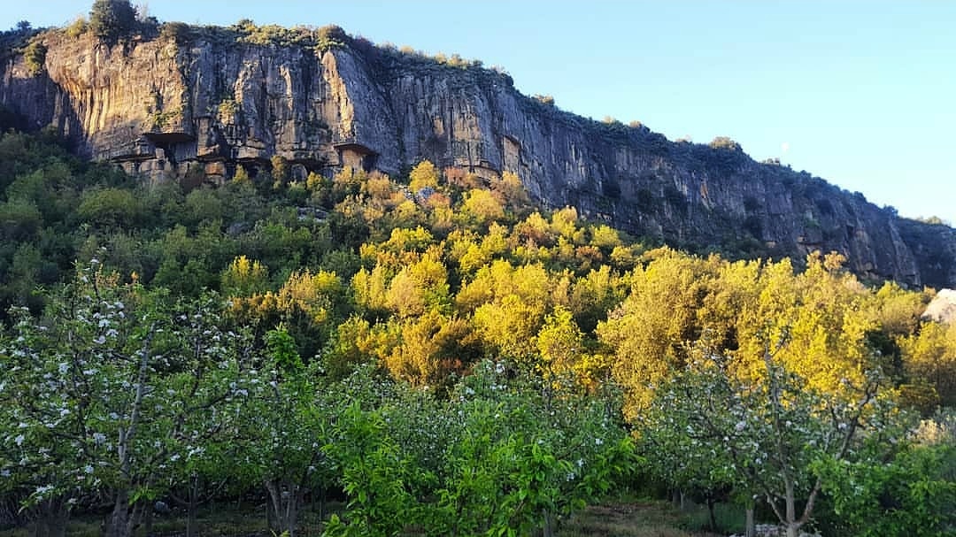 Photo credit @ghinaboughanem 💚
#liveloveramliyeh #livelovelebanon #lebanonnature  #mountlebanon #ramliyeh #beautifuldestinations