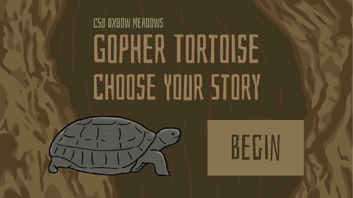 Are you ready to embark on your own journey and become a Gopher Tortoise? In this clickable interactive story you decide the life of your Gopher Tortoise!

youtu.be/s1YAsMcuLj4

Let us know about your Gopher Tortoise adventure!
