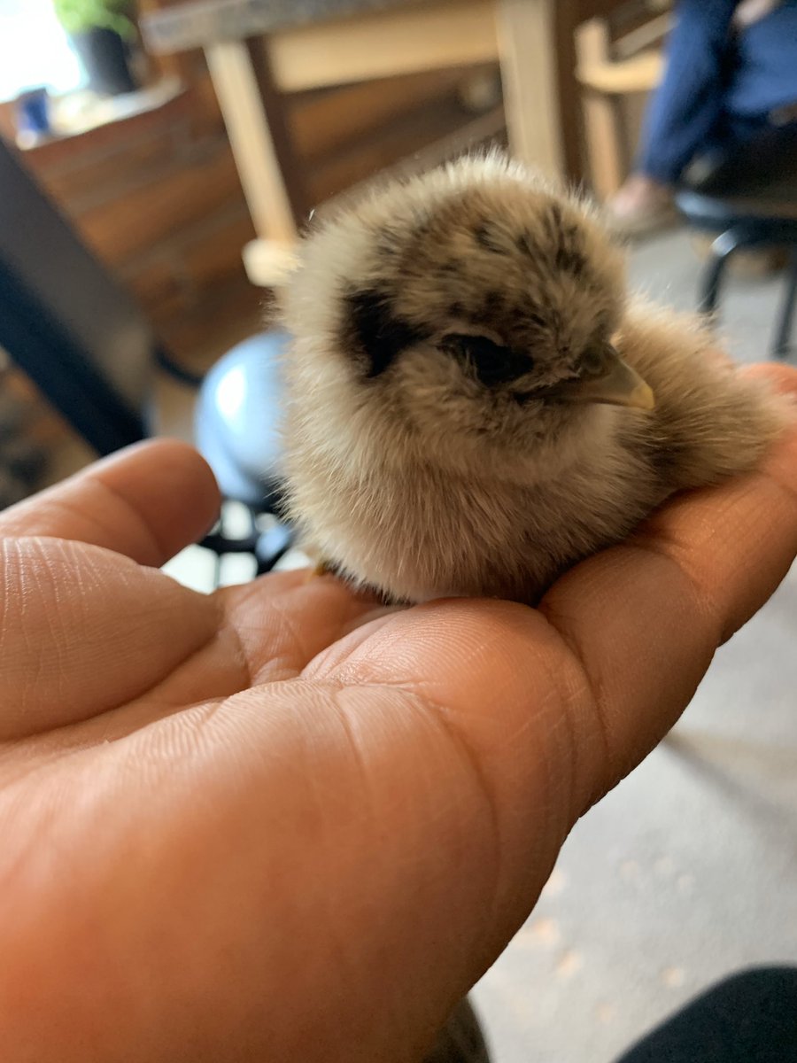 Jessica_Sayina's tweet image. 💜💜💜💜💜