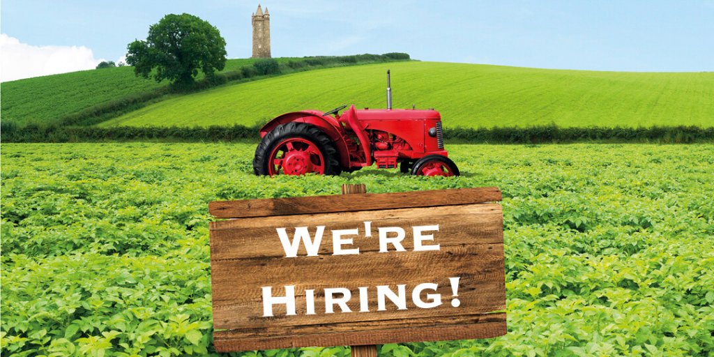 mashdirect's tweet photo. Want to join our #MashTeam?π
We are looking for a Management Accountant!
If you are a Qualified Chartered or Certified Accountant with excellent organisational skills this could be the role for you.
Find out more and apply:
https://t.co/zl55xD2Ito
Note: No Agencies https://t.co/wGdxgG6jxQ
