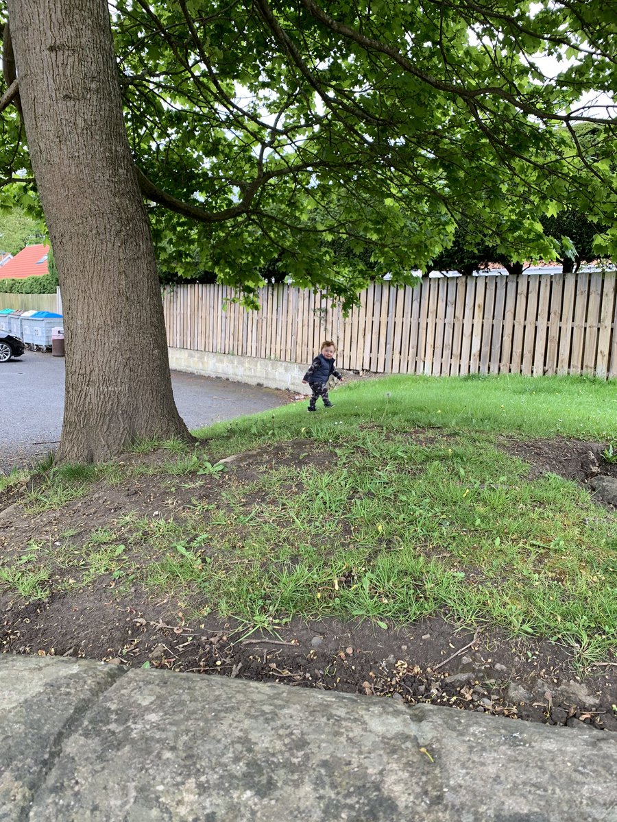 DiaryConnors's tweet photo. LOCKDOWN DAYS 41 &amp; 42 

Sunday was a chilled family day..Took a seductive picture for next years catalogue...Today was another day with Fug. We wandered, we explored &amp; we chilled...Stick in folks C-Money https://t.co/QR9rHs0lPj