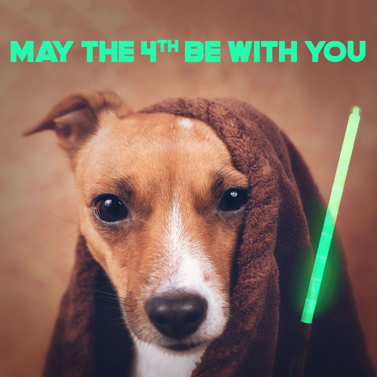 NepalDogChews's tweet photo. May the 4th Be With You
#nepaldogchews #ndchews #may4th #maythe4thbewithyou #maytheforcebewithyou #starwars #dogfood #iamyourfather #dogs #petlover #ilovemydog #dogoftheday #lovedogs #lovepuppies #adorable #doglover https://t.co/8m4RHC71qi